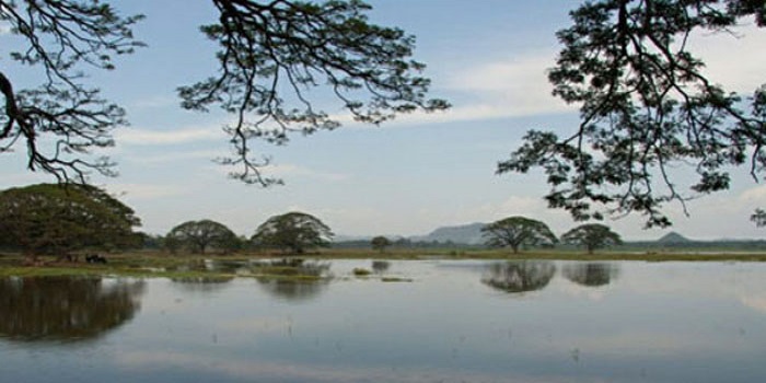 හුරුළු වැව