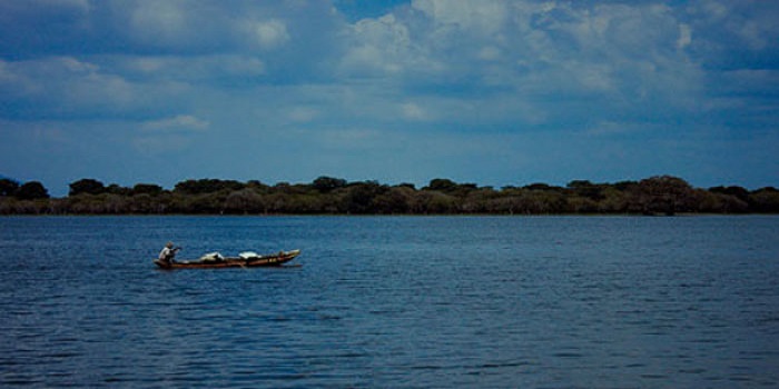 කලා වැව