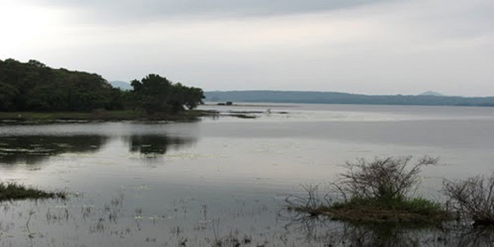මින්නේරි වැව