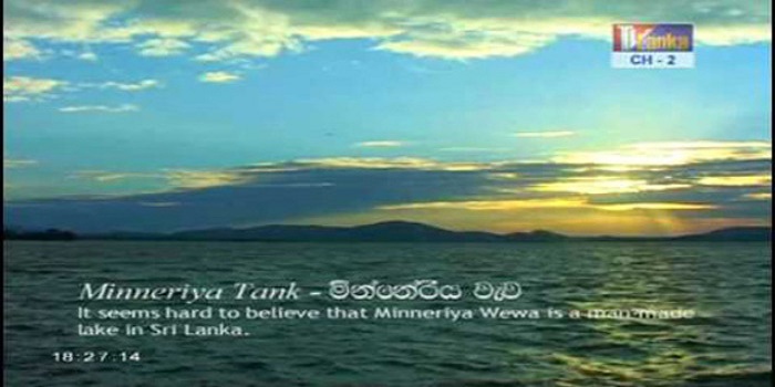 මින්නේරි වැව