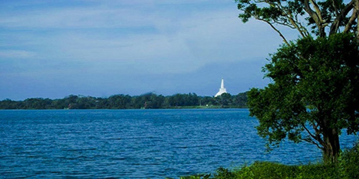 තිසා වැව