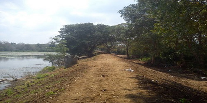 වැව් බැම්ම